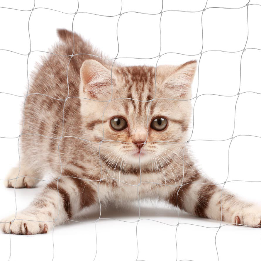 BOY Katzennetz Transparent